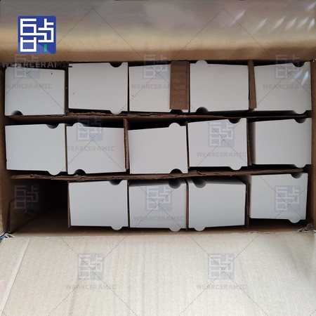 20250721082545 20250721082545